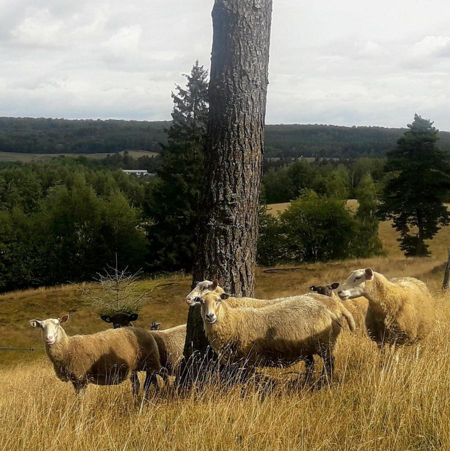Broesarp Kaellagarden Stora Gardslaegenheten Екстериор снимка