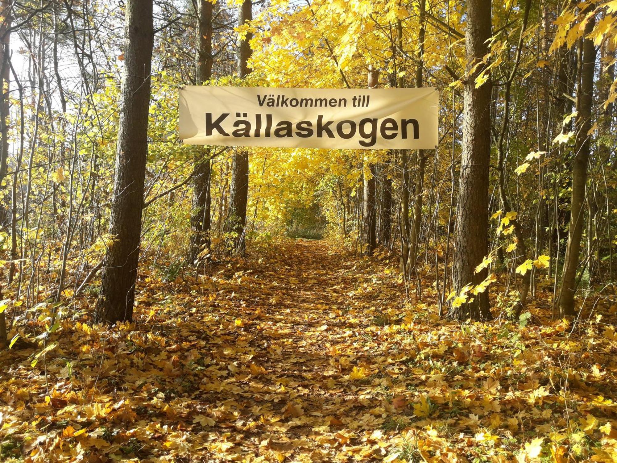 Broesarp Kaellagarden Stora Gardslaegenheten Екстериор снимка